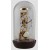 Skelet klok Hermle 23018-030791
