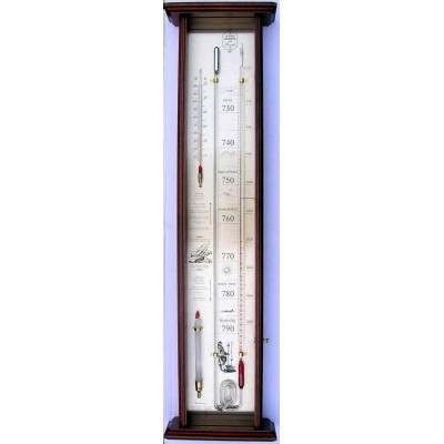 Robert Fitroy's bakbarometer mahonie/messing